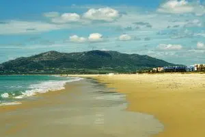 SEO Tarifa